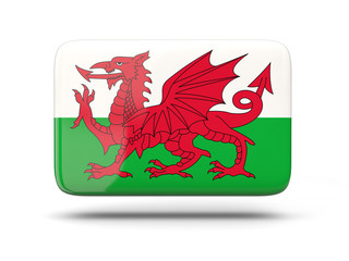 Square icon with flag of wales