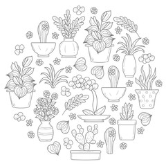 Round houseplant background