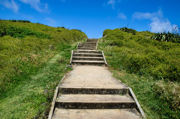 Pathway at the Muriwai Regional Park, New Zealand