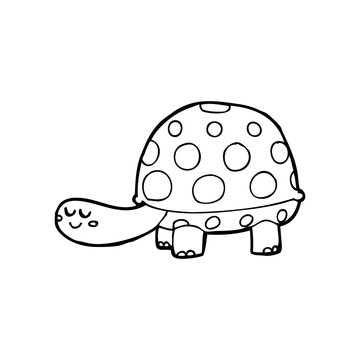 line drawing cartoon  tortoise