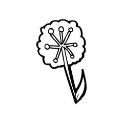 line drawing cartoon  dandelion
