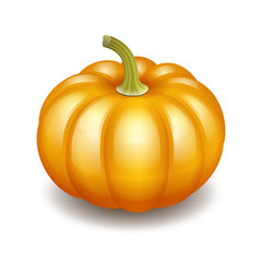 Orange autumn pumpkin icon
