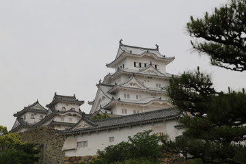 樹木の中の姫路城