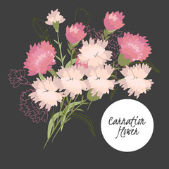 Illustration with beautiful flowers carnation.
