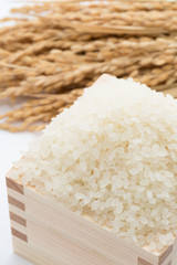 白米と稲穂