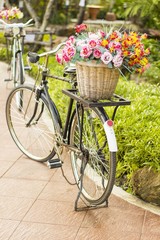 Fototapeta na wymiar flower basket on the classic bicycle 