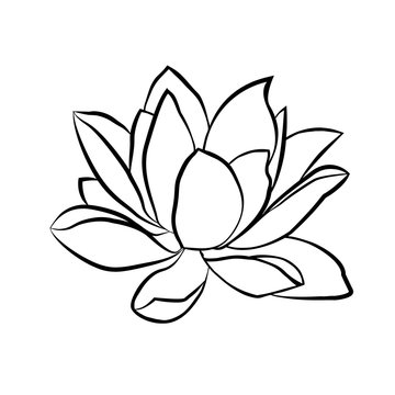 lotus flowers icon