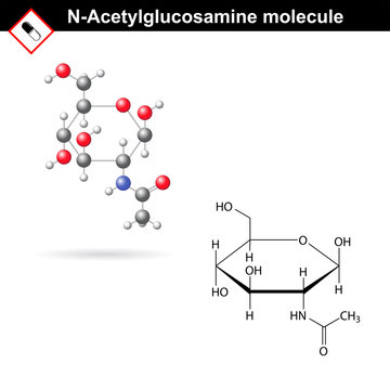 N-Acetylglucosamine molecule