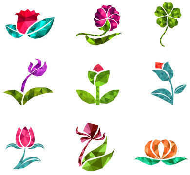 3D polygon jewelry flower flora lotus daisy tulip rose clover icon gem set design, create by vector 
