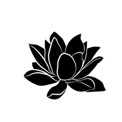 lotus flowers icon