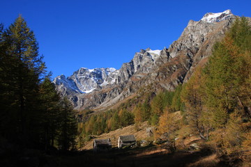 Fototapeta na wymiar Alpi - Autunno all'Alpe Devero in Piemonte