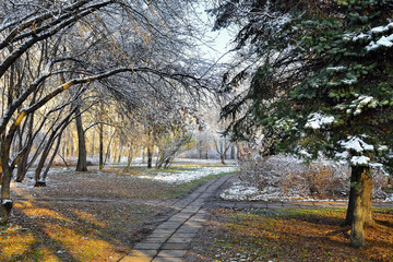 First snow in the city park