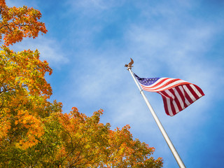Fototapeta premium American flag waving in the wind with golden autumn tree tops