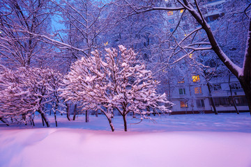 Night Winter City Scene