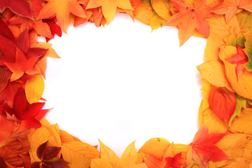 autumn leaves background