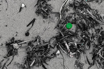 Verschmutzung am Strand von Mallorca