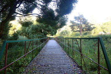 Park walkway