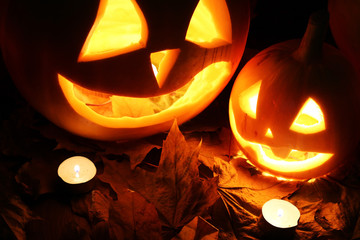 Halloween pumpkin leaves fall