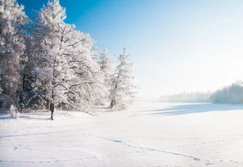 Foto auf Leinwand Winterpark im Schnee © Alexander Ozerov