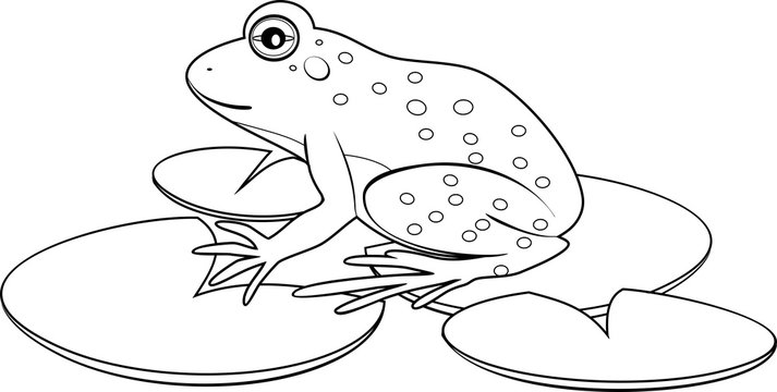 Coloring with frog