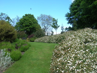 Obraz premium Giardino tipico di campagna nei pressi di Edimburgo