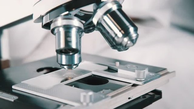Scientist using a microscope in laboratory