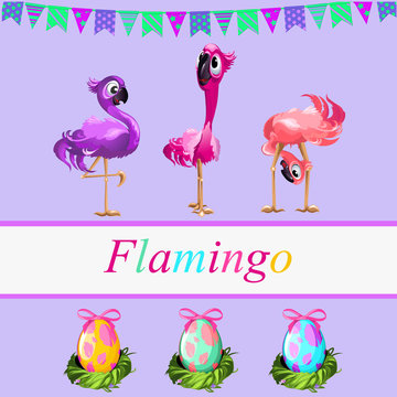Fancy flamingos and colorful gift eggs