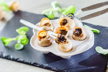 snails as gourmet food