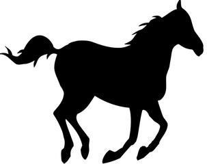 pferd rennen f © b_susann_k