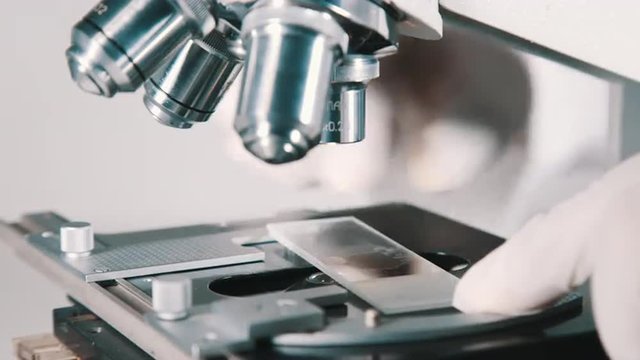Scientist using a microscope in laboratory