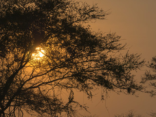 meraviglioso tramonto in Africa 