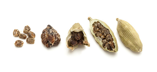 Macro Closeup of pod to seeds of Organic Green or True Cardamom (Elettaria cardamomum) isolated on white background.