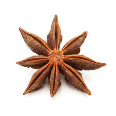 Macro closeup of Organic Star anise or Chakra Phool (Illicium verum) isolated on white background.