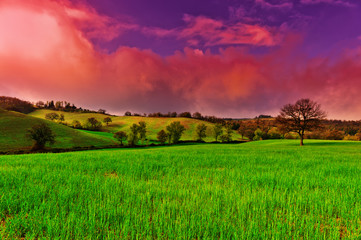 Obraz premium Meadows