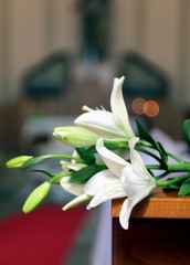 Obraz premium Interior of the Church is decorated with white flowers during th