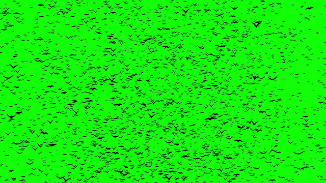 A duple flock of flying birds forms the grave crosses, green screen,