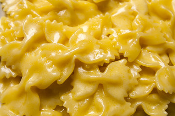 Farfalle pasta and cheese, fill out, background