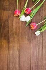 Few red and white flowers