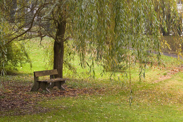 Melancholy. A lonely bench sits under a willow as the autumn gloom makes it not so a welcoming place to sit.