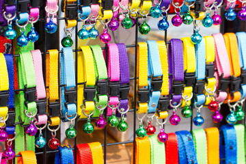 Colorful collar cat with small bell in shelves for sell