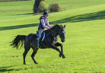 galoppierendes Pferd mit Reiterin auf einer Wiese