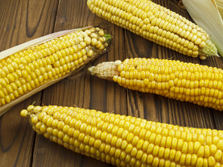 ripe corn