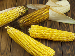 ripe corn