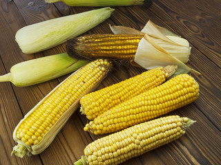 ripe corn