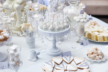 Dessert table with cake and candy on a wedding day
