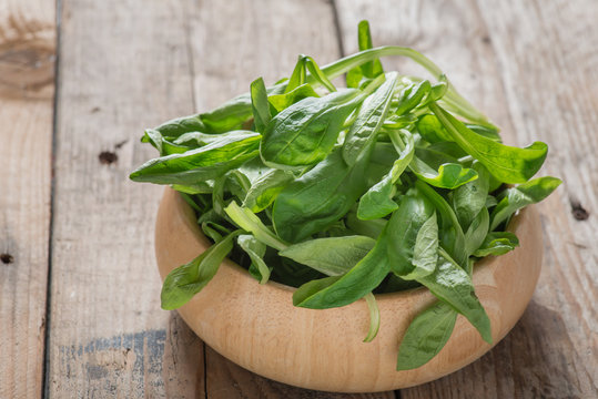 Mache Lettuce, corn salad, lambs lettuce on wood bowl.