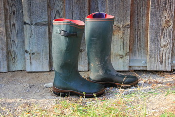 Obraz premium Gumboots
