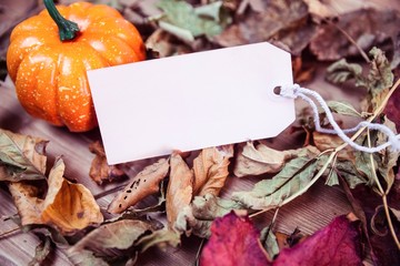 Autumnal leaf pattern on desk with tag
