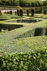 green labyrinth