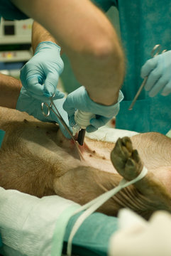 Cirujano colocando la aguja del suero en una operaci&oacute;n